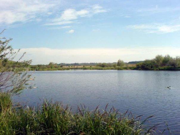 Біла з panoramio.com - Белая