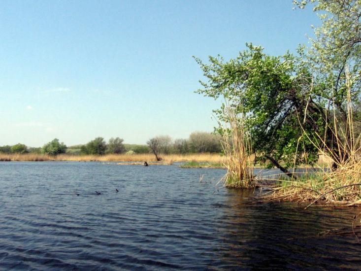 Дзержинське з panoramio.com - Дзержинское