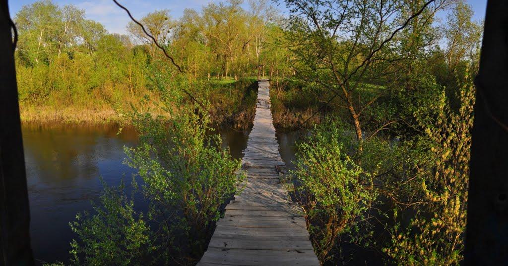 Буланове з panoramio.com - Буланове