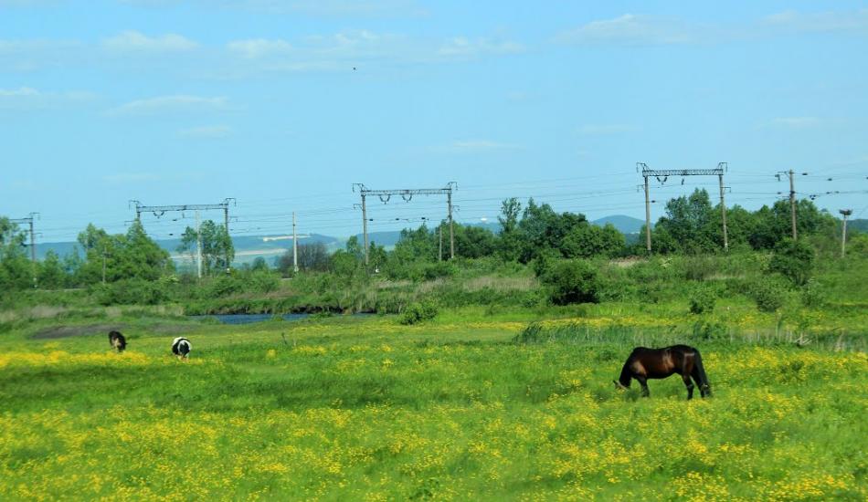 Підлужжя з panoramio.com - Pidluzhzhya