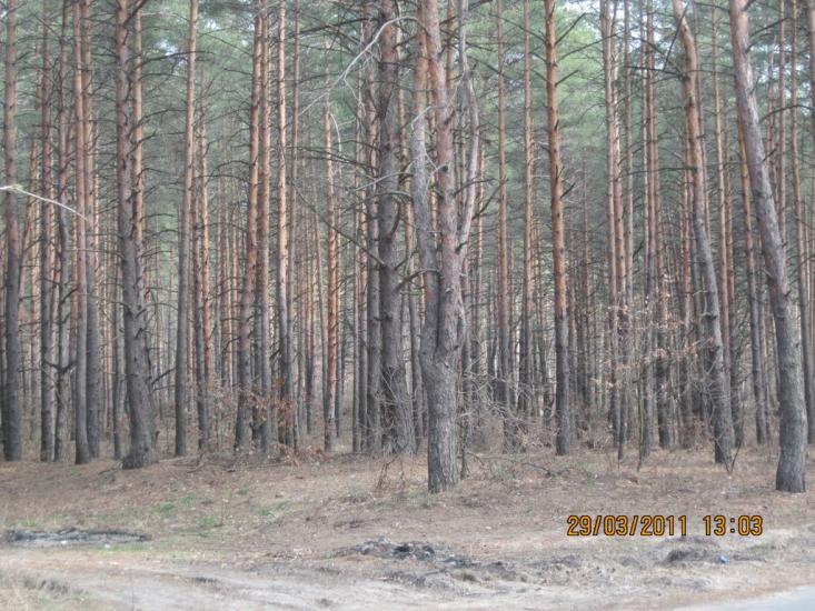 Кийлів з panoramio.com - Кийлів