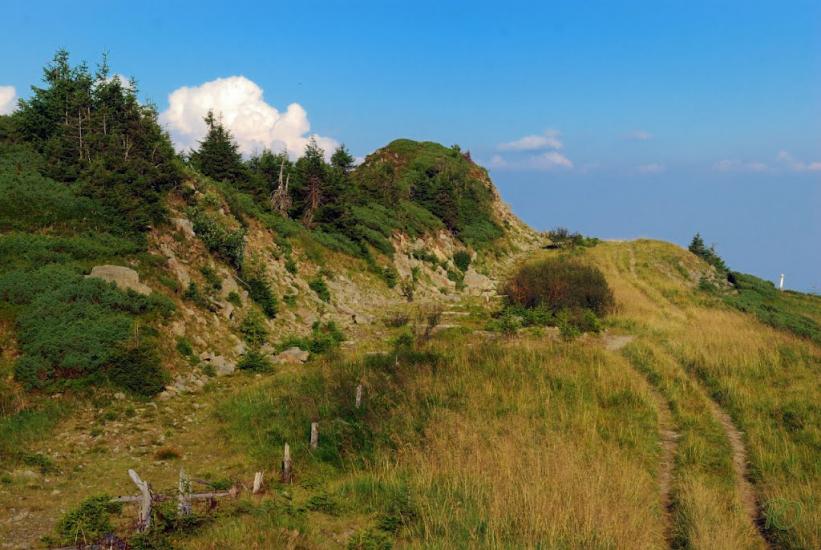 Бребоя з panoramio.com - Breboya