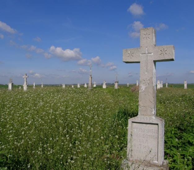 Стаївка з panoramio.com - Стаївка