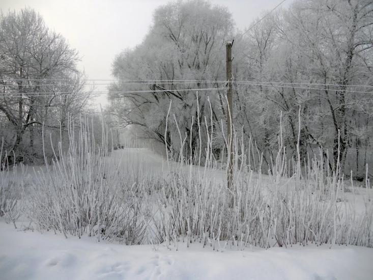 Вільшане з panoramio.com - Vilshane