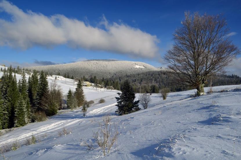 Вороненко з panoramio.com - Вороненко