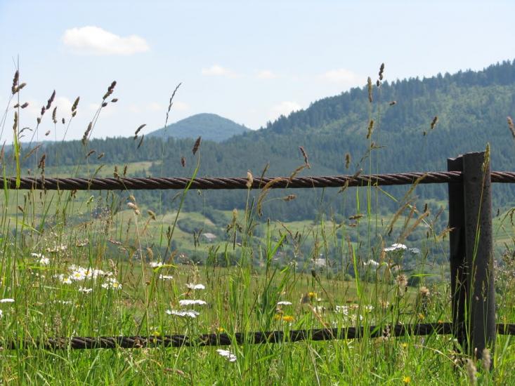 Турка з panoramio.com - Турка