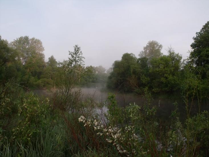 Рудневе з panoramio.com - Руднево