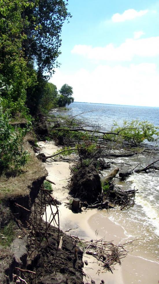 Недогарки з panoramio.com - Недогарки