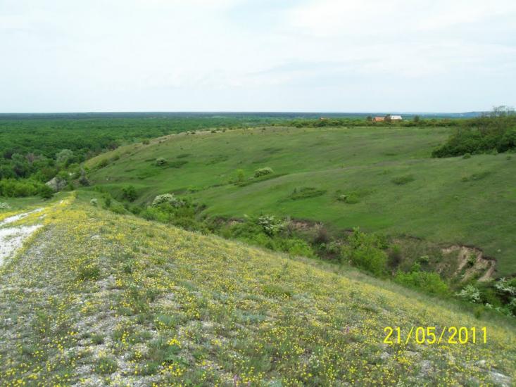 Пискунівка з panoramio.com - Pyskunivka