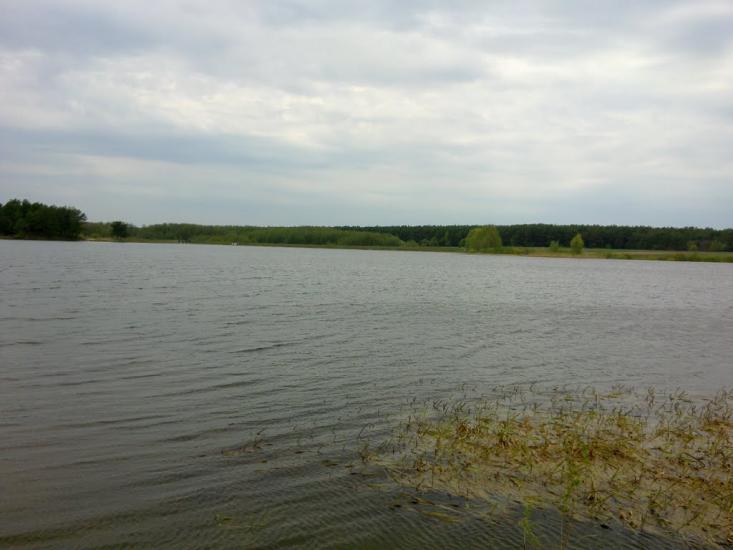 Линея з panoramio.com - Lyneya