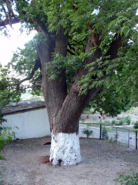 Терпіння з panoramio.com - Терпенье