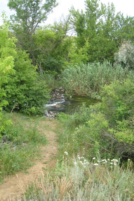 Родникове з panoramio.com - Родниково