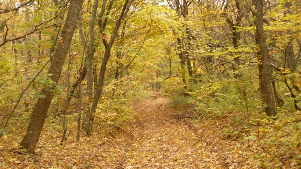 Перевалівка з panoramio.com - Переваловка
