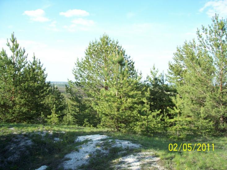 Пискунівка з panoramio.com - Pyskunivka