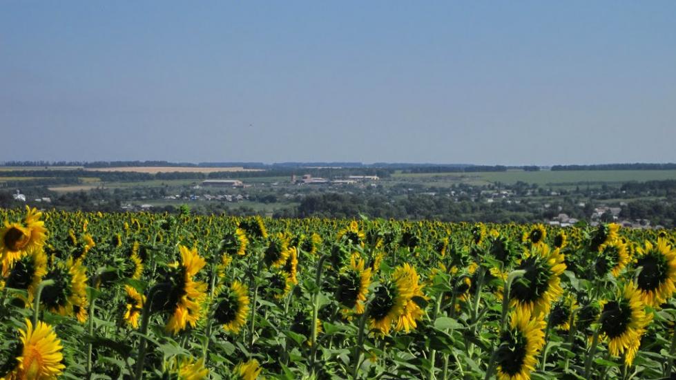 Сиваш з panoramio.com - Сиваш