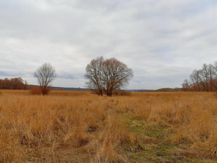 Булавинське з panoramio.com - Bulavynske