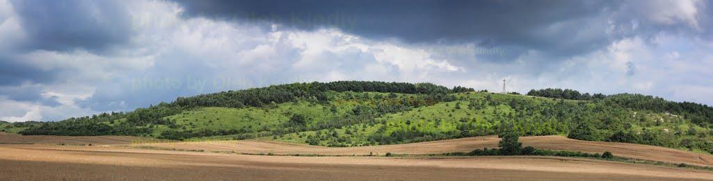 Підлисся з panoramio.com - Подлесье