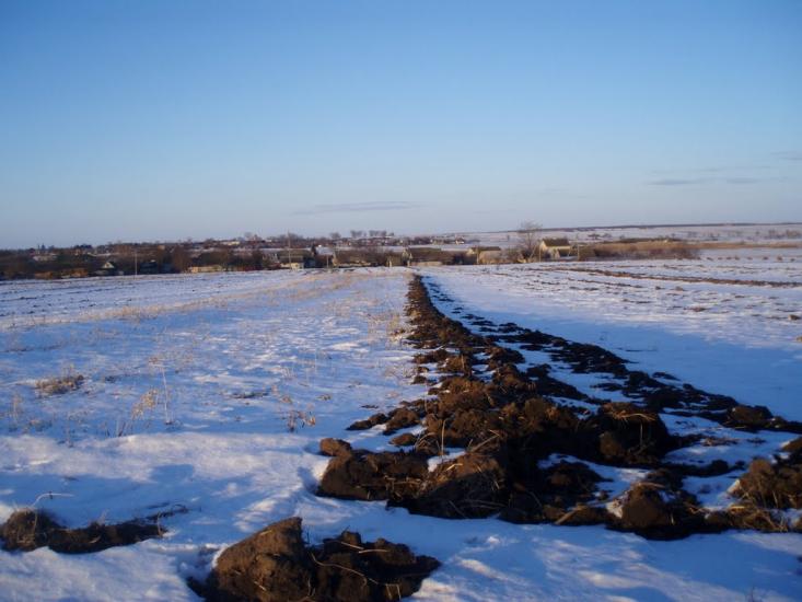 Рогізне з panoramio.com - Рогозное
