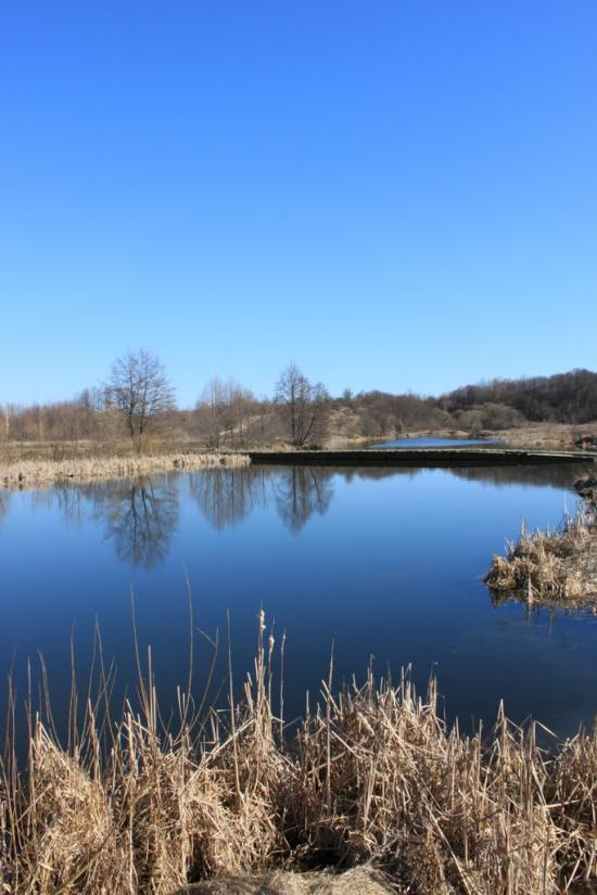 Перлявка з panoramio.com - Перлявка