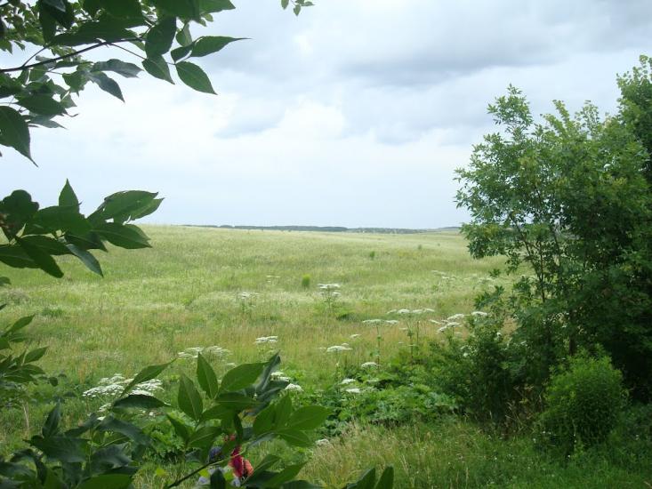 Іванківці з panoramio.com - Иванковцы