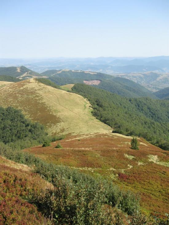 Сопки з panoramio.com - Сопки