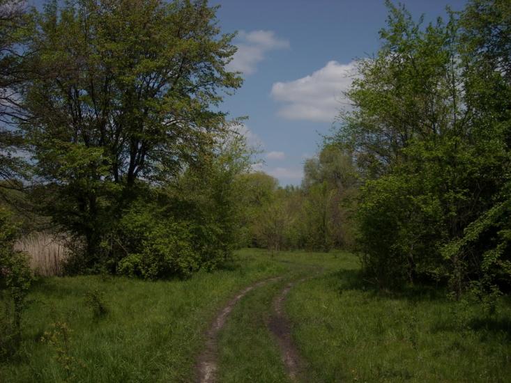 Святилівка з panoramio.com - Святиловка