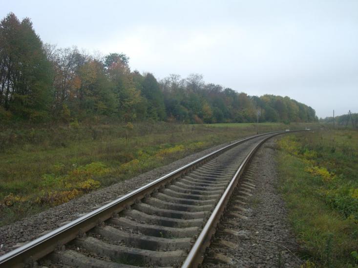 Буйволівці з panoramio.com - Буйволівці