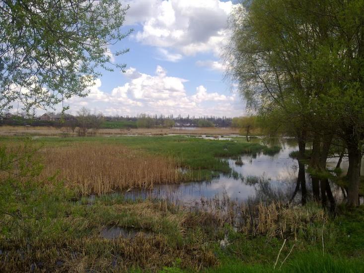 Стебне з panoramio.com - Stebne