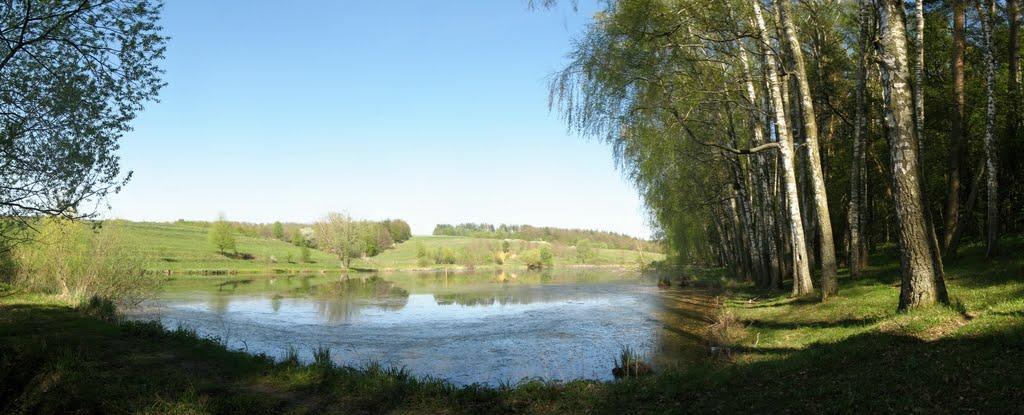 Малий Вистороп з panoramio.com - Малый Выстороп