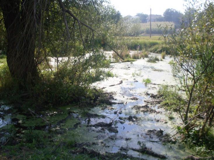 Зятківці з panoramio.com - Зятковцы