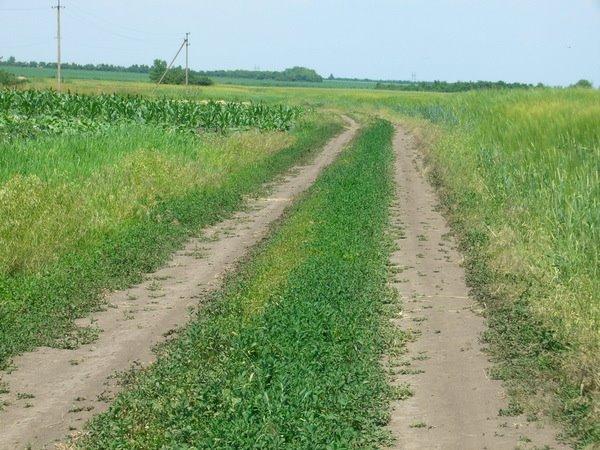 Аджамка з panoramio.com - Аджамка