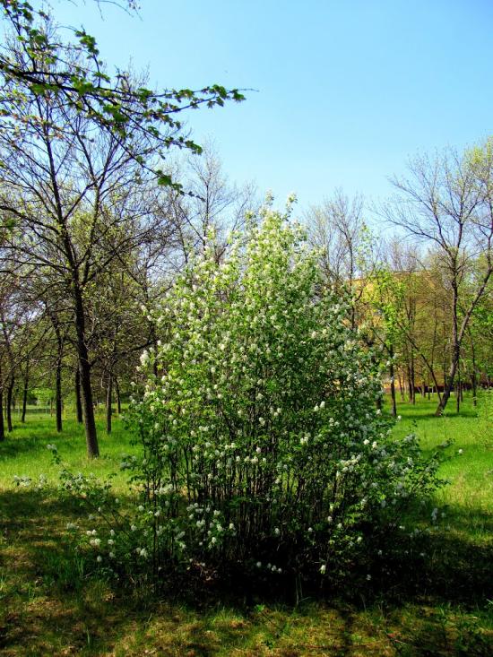 Сарни з panoramio.com - Сарни