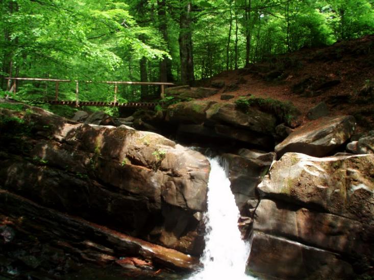 Лумшори з panoramio.com - Лумшоры