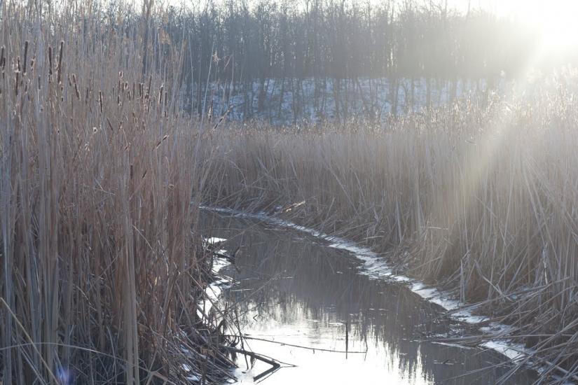 Коврай з panoramio.com - Коврай