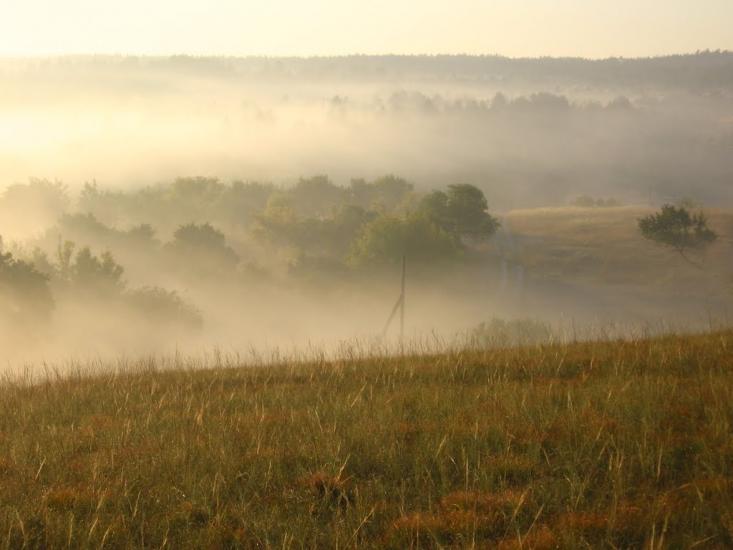 Пискунівка з panoramio.com - Pyskunivka