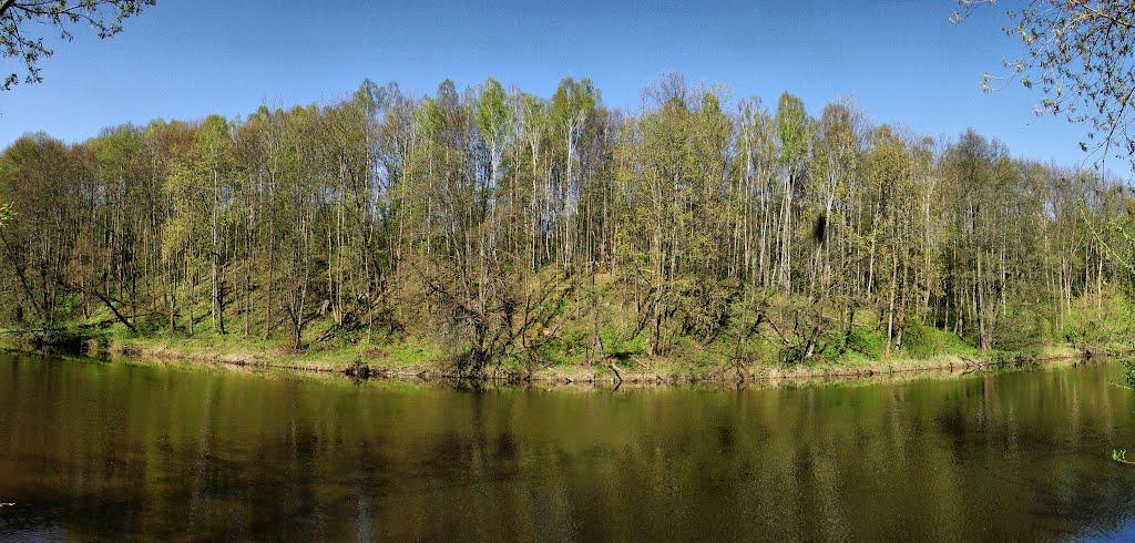 Миропіль з panoramio.com - Мирополь