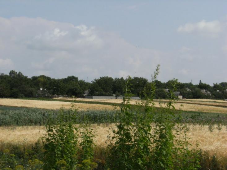 Козацьке з panoramio.com - Козацьке