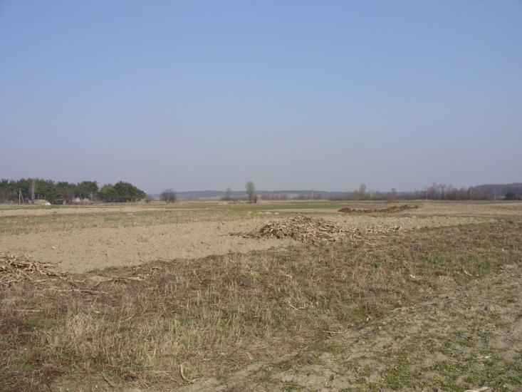 Турійськ з panoramio.com - Турийск