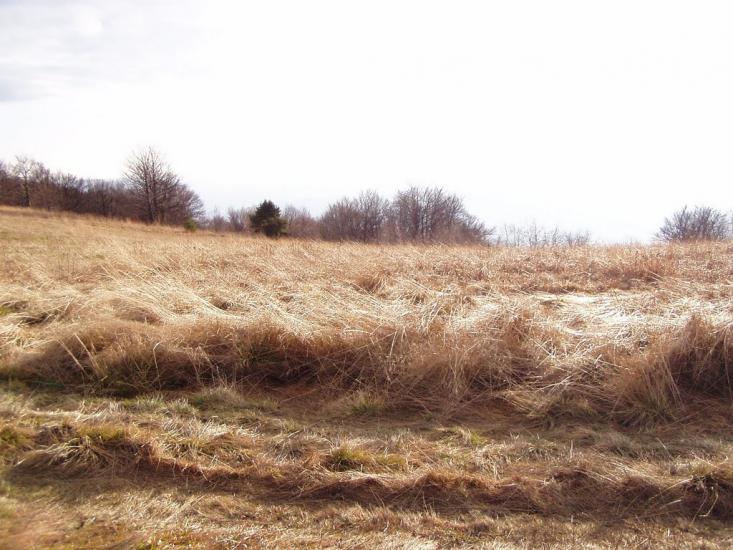 Руський Мочар з panoramio.com - Русский Мочар