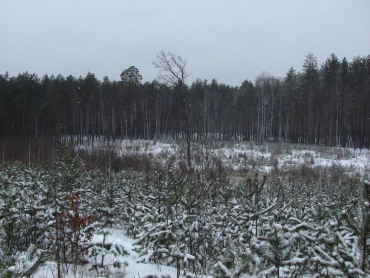 Пісківка з panoramio.com - Piskivka