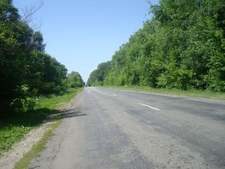 Малашівці з panoramio.com - Malashivtsi