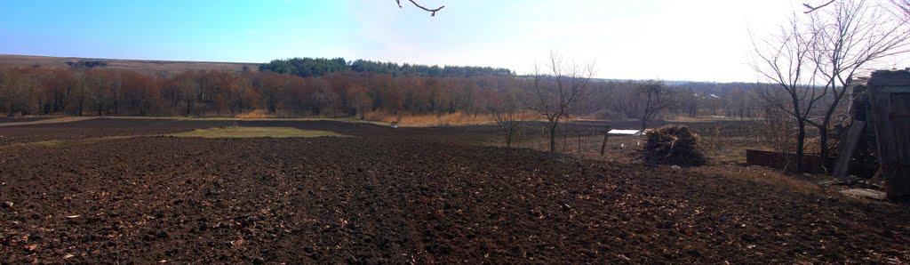 Осіївка з panoramio.com - Осіївка