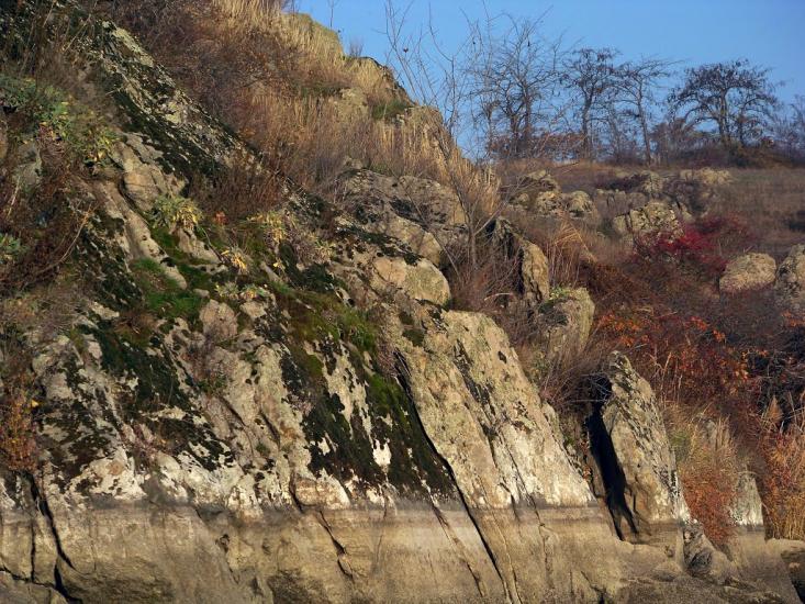 Новорозанівка з panoramio.com - Novorozanivka