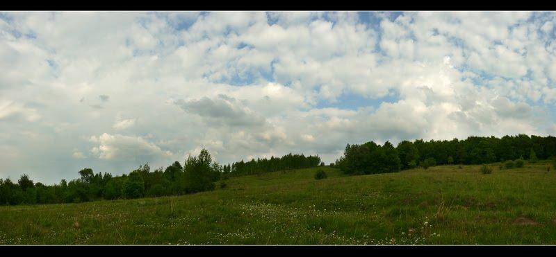 Підмихайля з panoramio.com - Подмихайло