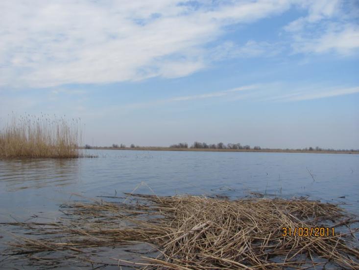 Кардашинка з panoramio.com - Кардашинка