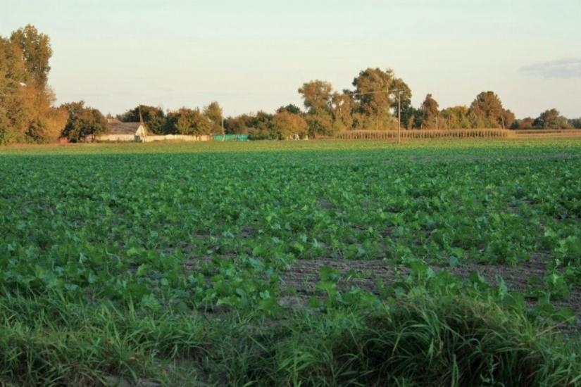 Бурімка з panoramio.com - Burimka