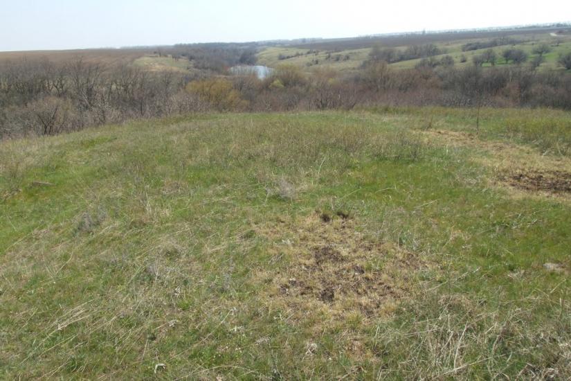 Данилове з panoramio.com - Данилово