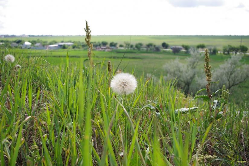 Нова Долина з panoramio.com - Nova Dolyna