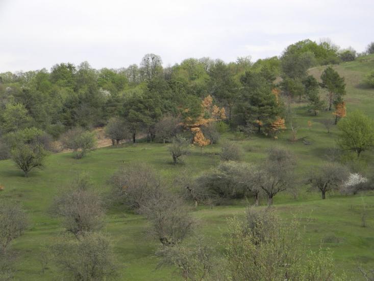 Івангород з panoramio.com - Ивангород