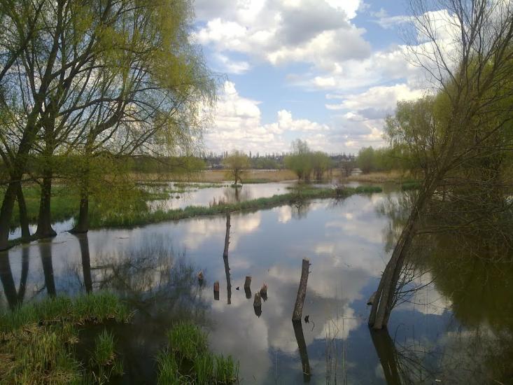 Стебне з panoramio.com - Stebne